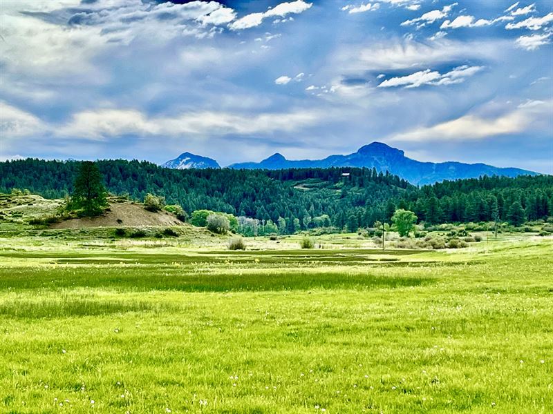 Lone Tree Ranch Pagosa Springs : Pagosa Springs : Archuleta County : Colorado