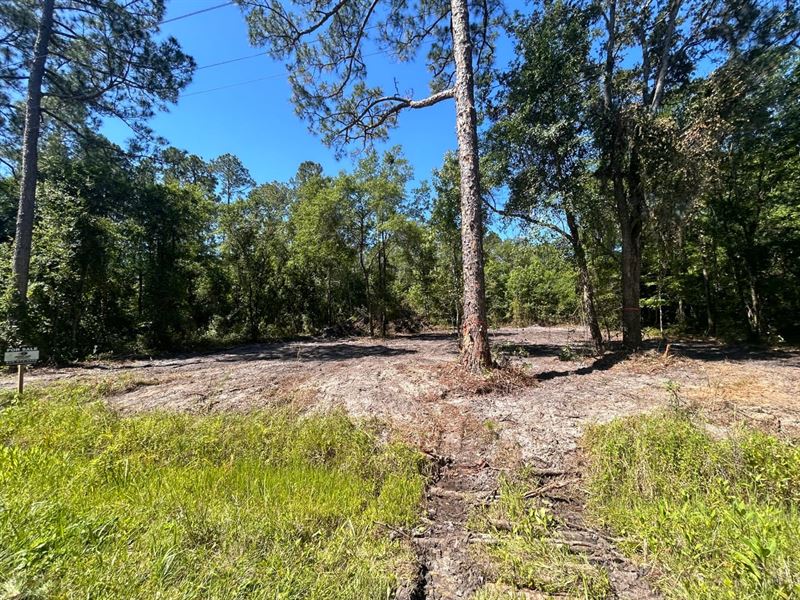 Palmetto Bluff Road Homesite : Palatka : Putnam County : Florida