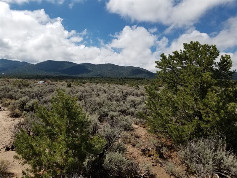 Mountain Views with Easy Access : Fort Garland : Costilla County : Colorado