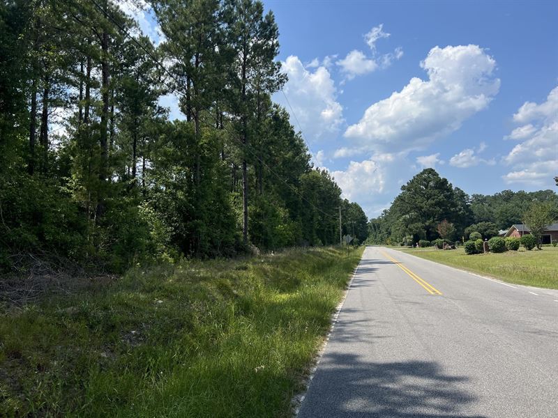 Peurifoy Road Tract : Colleton : Colleton County : South Carolina