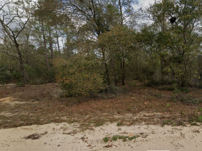 .47 Acres for Lake Life : Interlachen : Putnam County : Florida