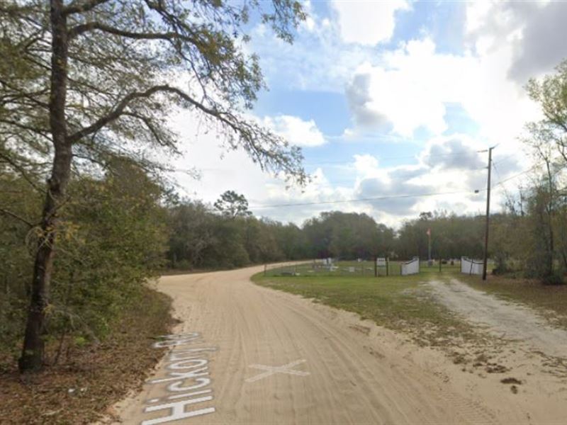 .47 Acre for Lake Life : Interlachen : Putnam County : Florida