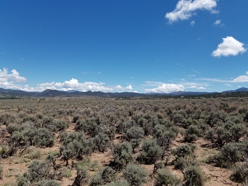 Minutes From Ft. Garland, 5 Acres : Fort Garland : Costilla County : Colorado