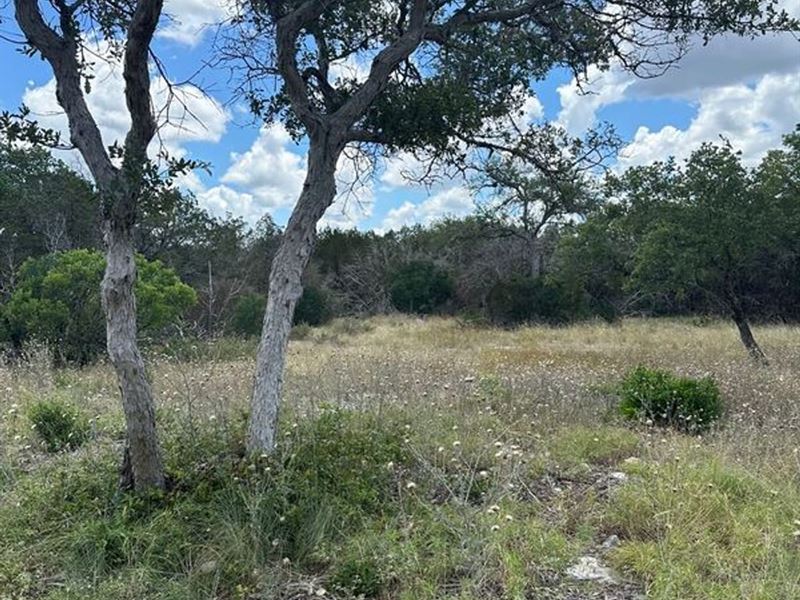 Land for Sale, Lampasas County : Lampasas : Lampasas County : Texas