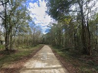 Live The Good Life : Interlachen : Putnam County : Florida