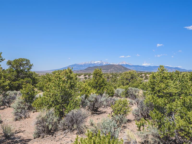 5 Ac of Treed, Natural Beauty in CO : Fort Garland : Costilla County : Colorado