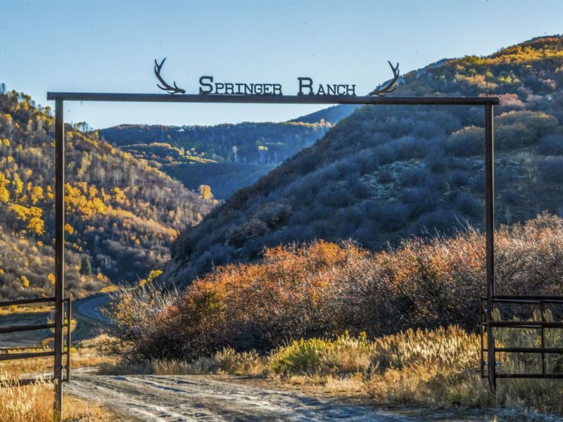 Springer Ranch : Hayden : Routt County : Colorado