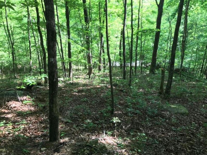 1.8 Acre Tennessee Gem with Creek : Dunlap : Sequatchie County : Tennessee