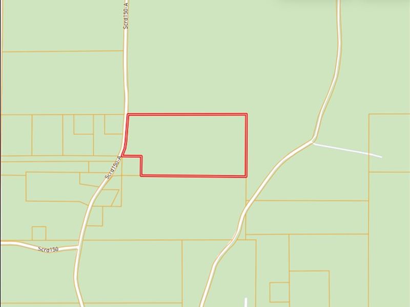 19 Acres in Smith County in Polkvil : Polkville : Smith County : Mississippi