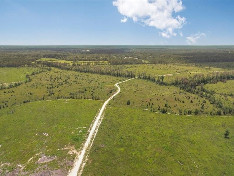 Land for Sale in Tangipahoa Parish : Independence : Tangipahoa Parish : Louisiana