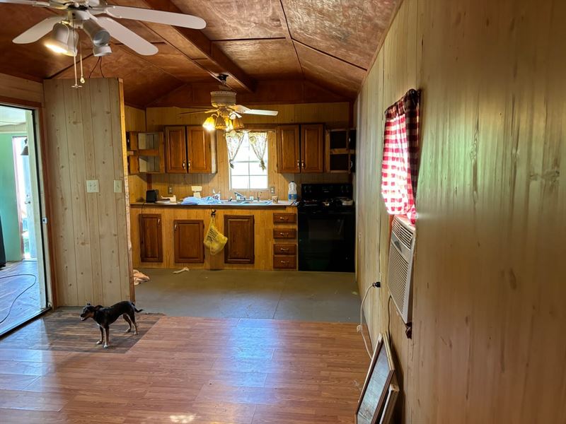 9 Acres Rosebud Tiny Home : Rose Bud : White County : Arkansas