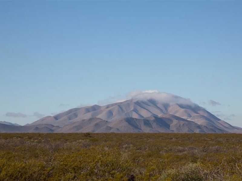 20 Acre in Hudspeth County, TX : Sierra Blanca : Hudspeth County : Texas