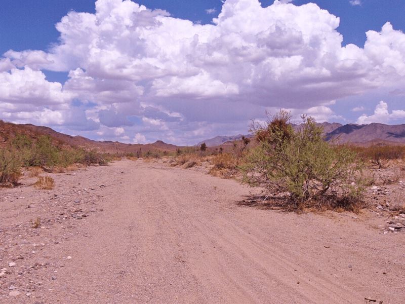 Ultimate Adventure Playground : Dolan Springs : Mohave County : Arizona