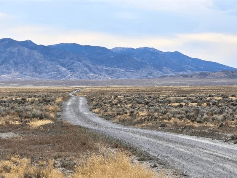 Wide and Open Space : Montello : Elko County : Nevada