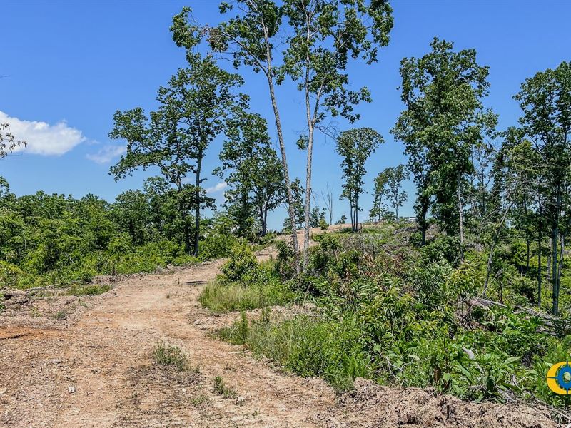 Waverly Ridge Central : Waverly : Humphreys County : Tennessee