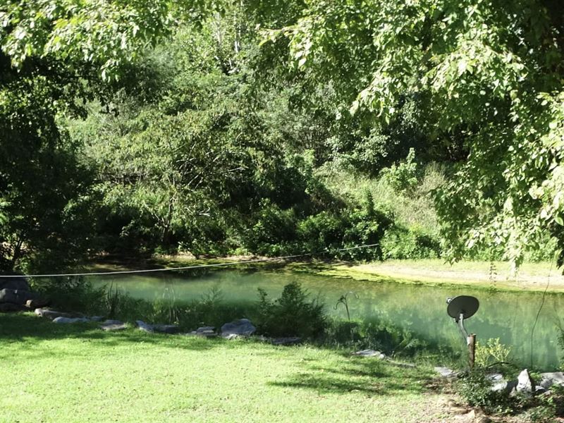 Beautiful 30 Acre Land with Creek : Mountain View : Stone County : Arkansas