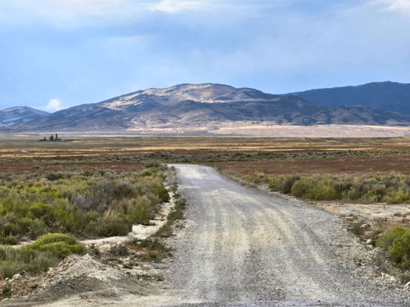 Perfect for Homesteading : Montello : Elko County : Nevada