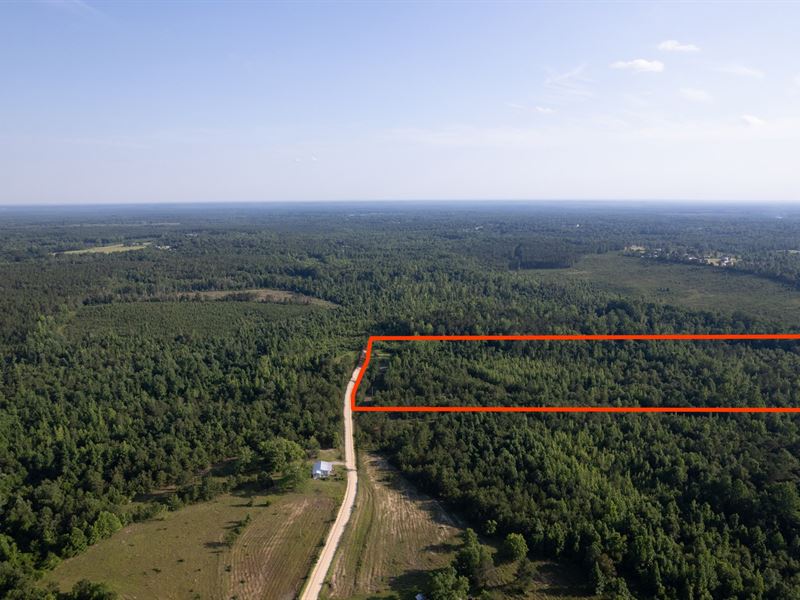 10.5 Ac. Lee County : Opelika : Lee County : Alabama