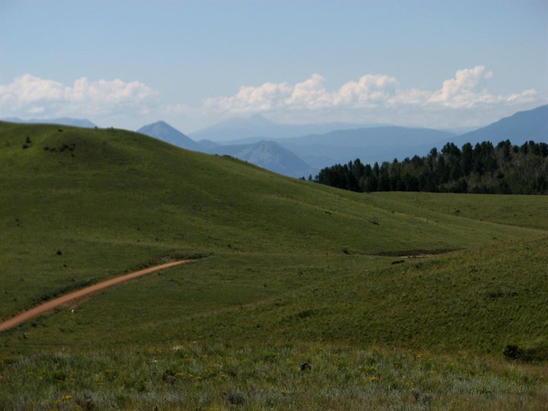 Up Sheep Creek : Westcliffe : Custer County : Colorado