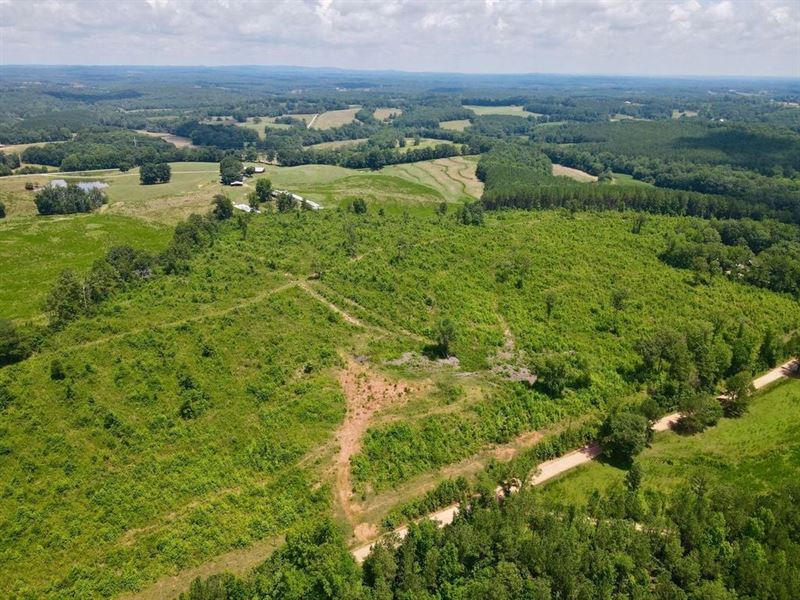 33 Acres Woodland : Woodland : Randolph County : Alabama