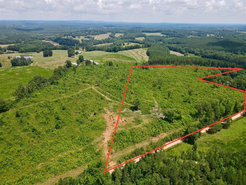 Tract 2, 16.5 Ac Woodland : Woodland : Randolph County : Alabama