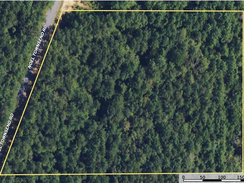 5 Acre Homesite for Sale Covington : Seminary : Covington County : Mississippi