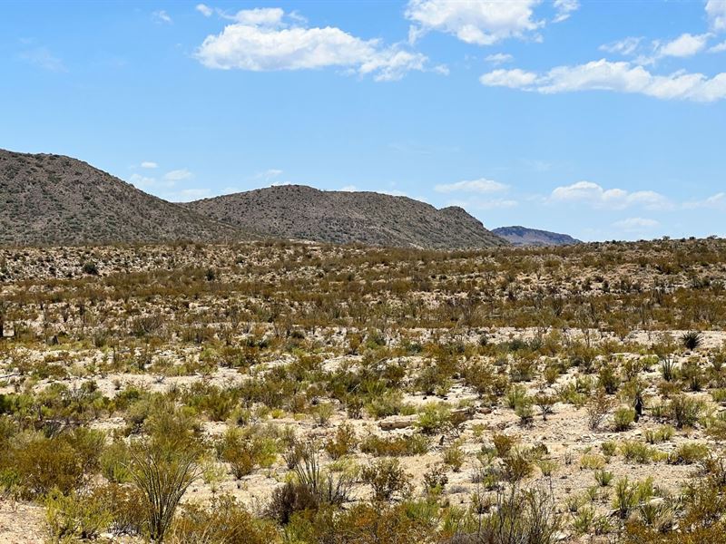 20 Acres in Brewster County : Terlingua : Brewster County : Texas