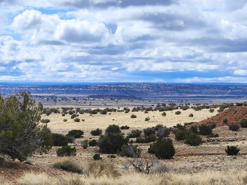 Your City Escape Is Here : Chambers : Apache County : Arizona