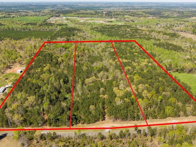 12 Acres of Wooded Land in Forsyth : Forsyth : Monroe County : Georgia