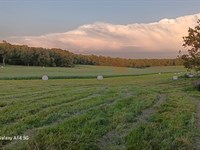 Beautiful Ranch with Live Water : West Plains : Howell County : Missouri