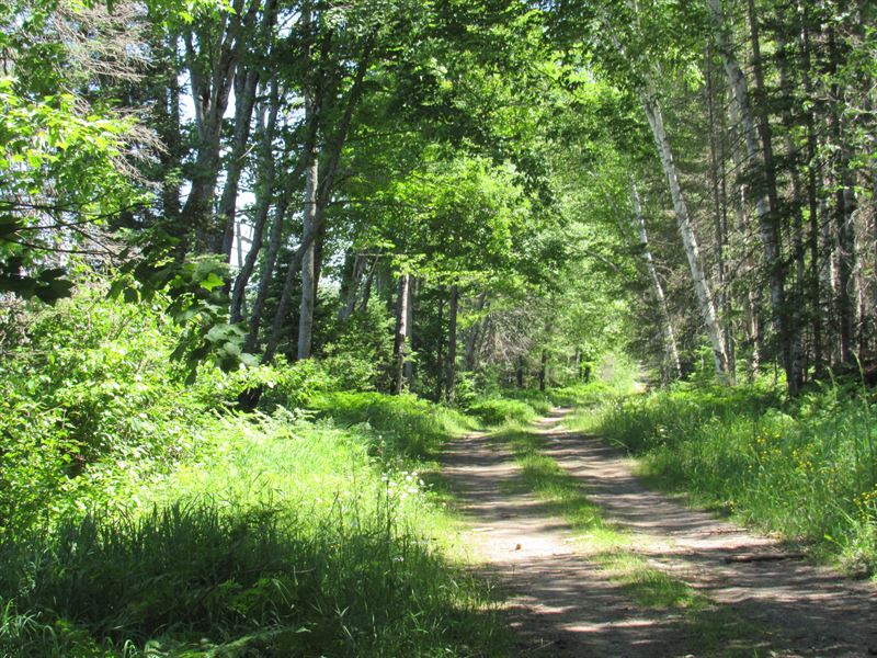 Beautiful 240+/- Acre Parcel : Champion : Marquette County : Michigan