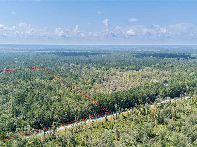 A Charming 5.69 Acre Land : Brunswick : Glynn County : Georgia