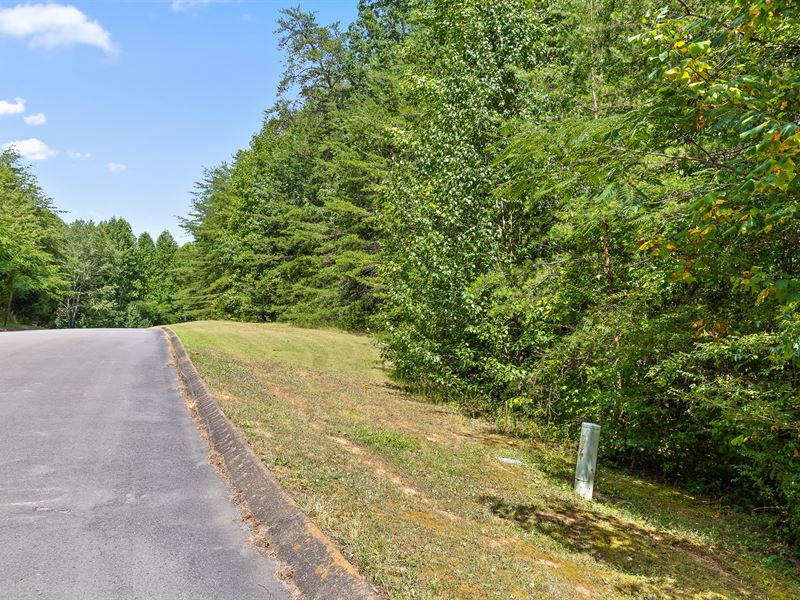 One Acre Home Site in Dunlap, TN : Dunlap : Sequatchie County : Tennessee