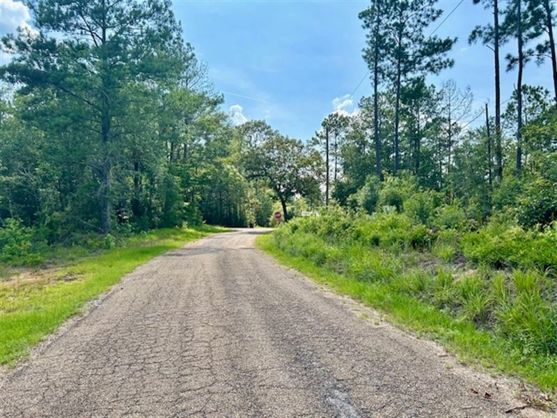 1.28 Acres in North Pike School Dis : Summit : Pike County : Mississippi