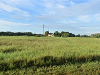 Lake County Land Invest & Ranch : Groveland : Lake County : Florida