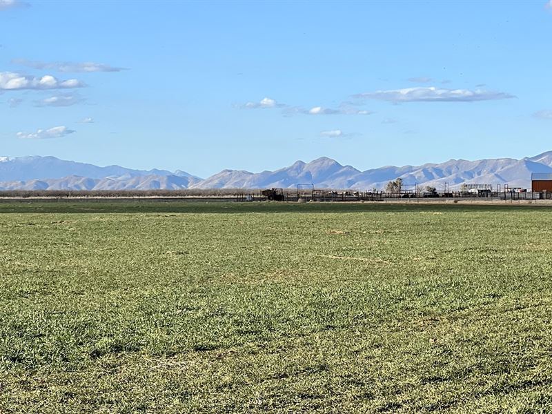 Highline Farm / Ranch : Willcox : Cochise County : Arizona