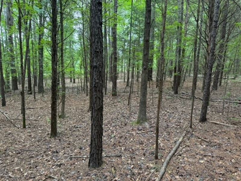 9 Acres On Cobb Road in Pelzer : Pelzer : Greenville County : South Carolina