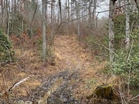 5 Acres Unrestricted Near Salvage : Gruetli Laager : Grundy County : Tennessee