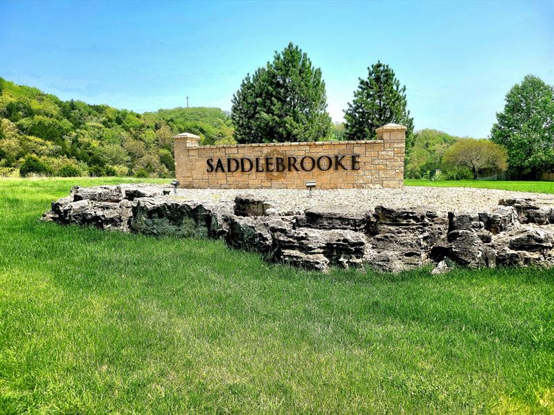 Village Beauty : Saddlebrooke : Christian County : Missouri