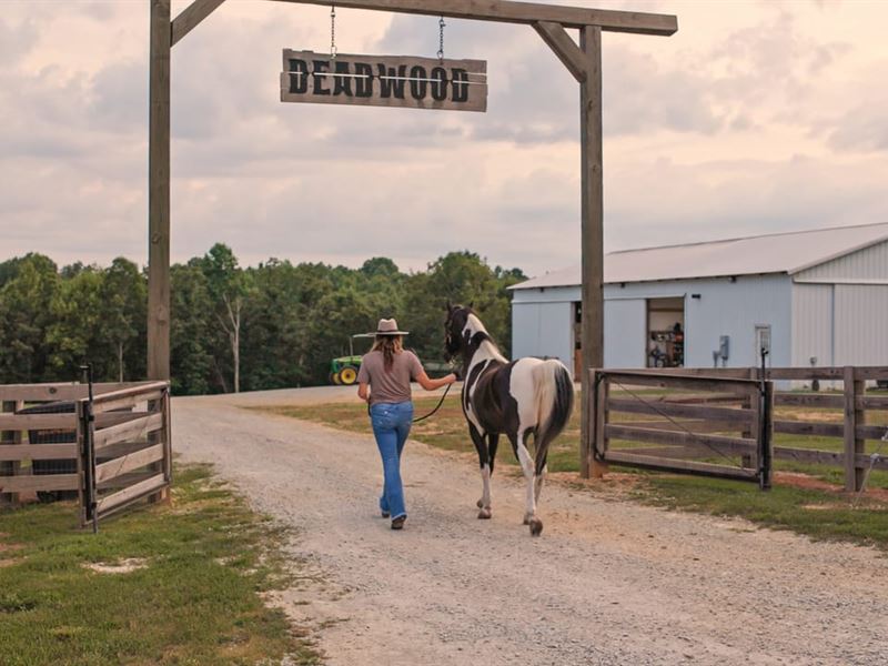 Tennessee Version of Yellowstone : Lawrenceburg : Lawrence County : Tennessee