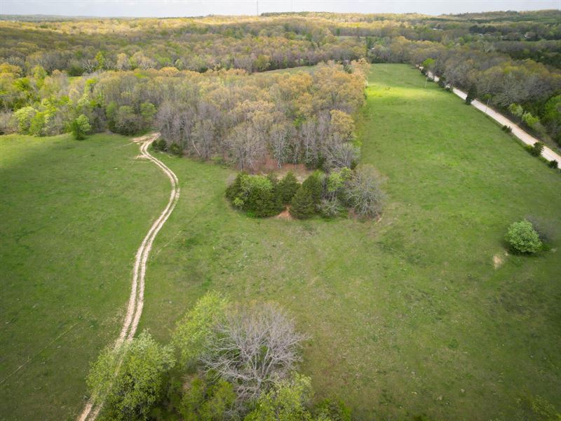 Secluded Land, Many Possibilities : Mountain View : Howell County : Missouri