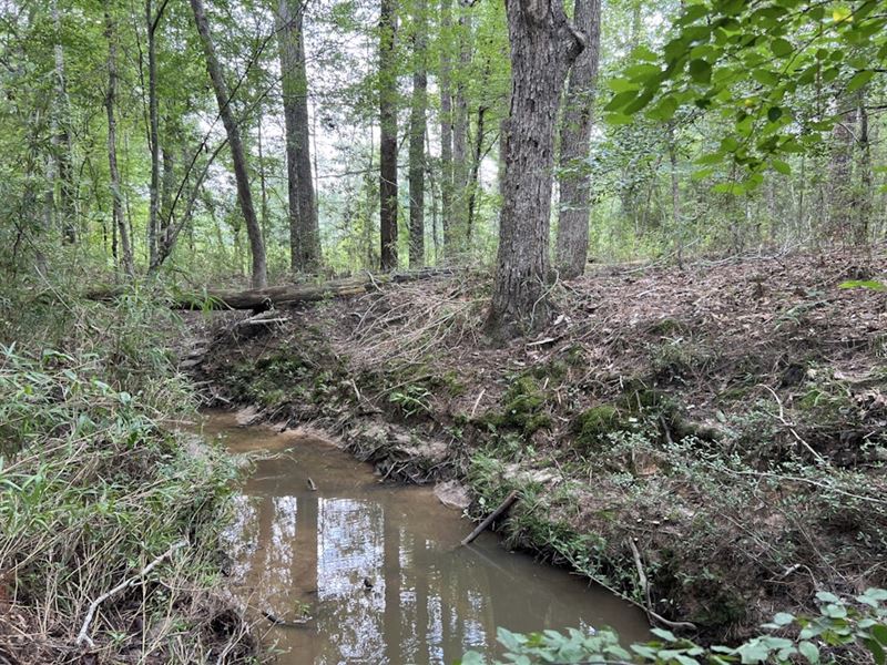 Sturgis Mill T-17 : Hemphill : Sabine County : Texas