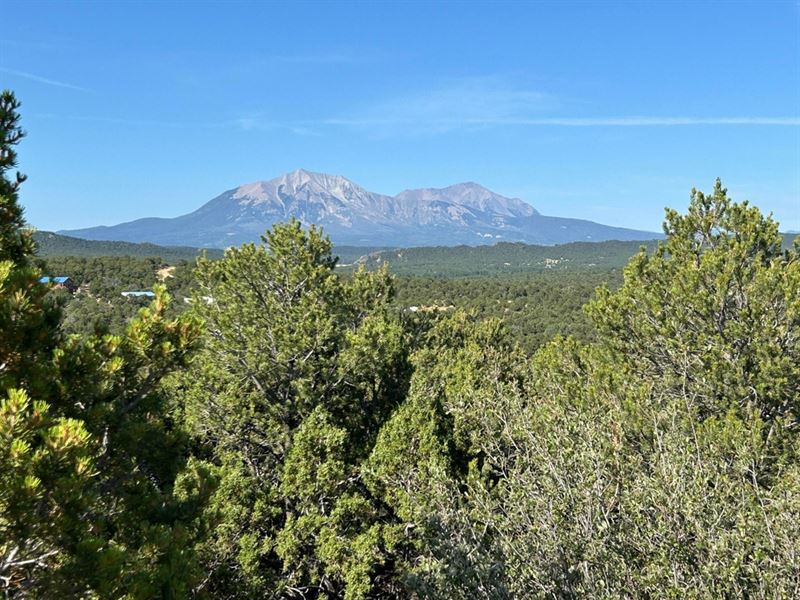 Lot 17 Silver Spurs Ranch, Walsenbu : Walsenburg : Huerfano County : Colorado