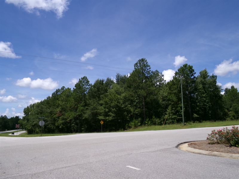 68+ Acres with Many Possibilities : Swainsboro : Emanuel County : Georgia