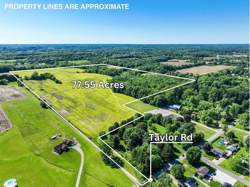 Taylor Rd, 77 Acres, Wayne County : Doylestown : Wayne County : Ohio