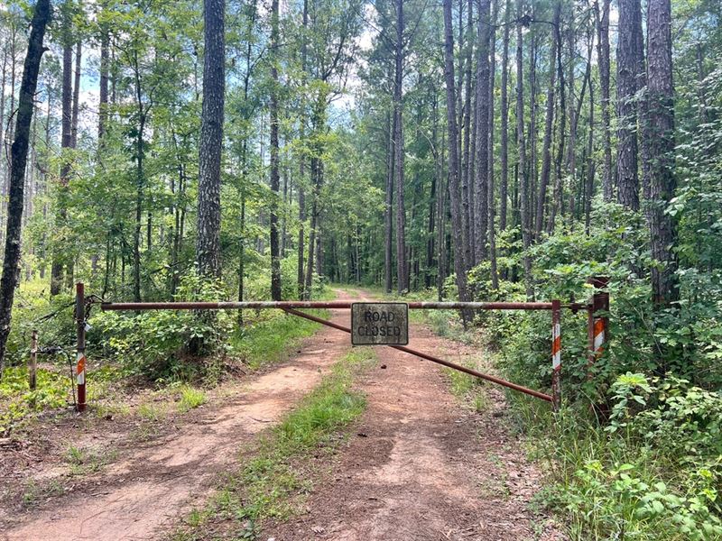 9 Acres with A Cabin in Jasper Coun : Louin : Jasper County : Mississippi