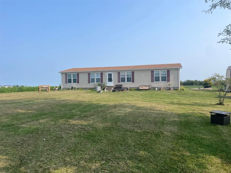 4 Bed 2 Bath Edgar County : Paris : Edgar County : Illinois