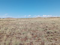 On Sale 1.09 Ac Concho, $25 Down : Concho : Apache County : Arizona