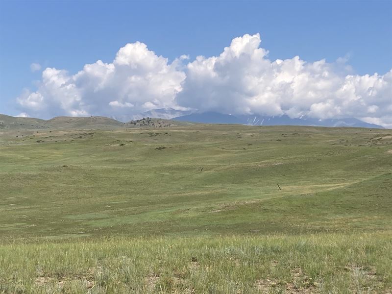 Cow Creek 80 : Big Timber : Sweet Grass County : Montana