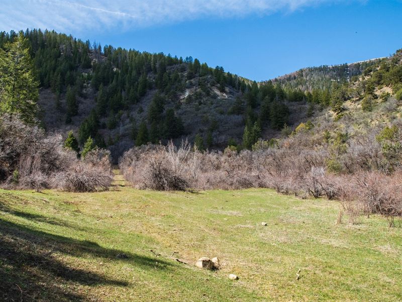 40 Mile Mountain Ranch-Government : Rifle : Garfield County : Colorado